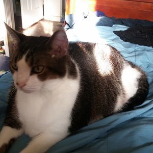 Meet your Posher, Chrystal